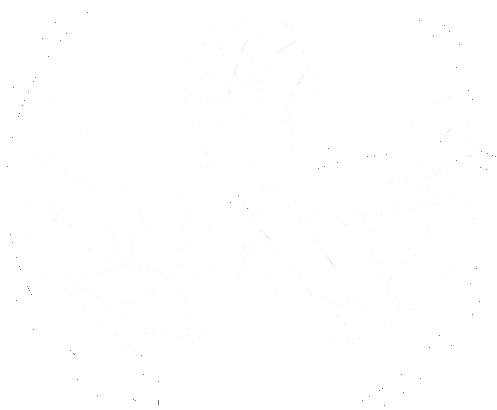 Cold Arms